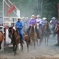 Painted Pony Rodeo